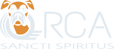 Fundación ARCA Sancti Spíritus